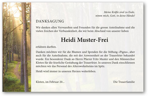 Lichtung im Sonnenlicht